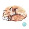 poduszka fox